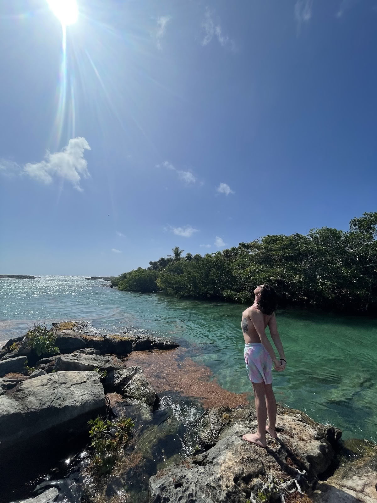 Mi Vida Yoga Retreats Tulum (Office)