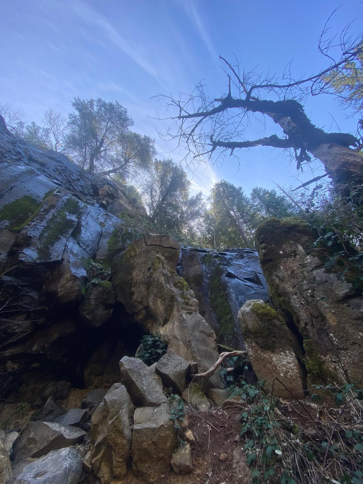 Pachamama Sacred Paths