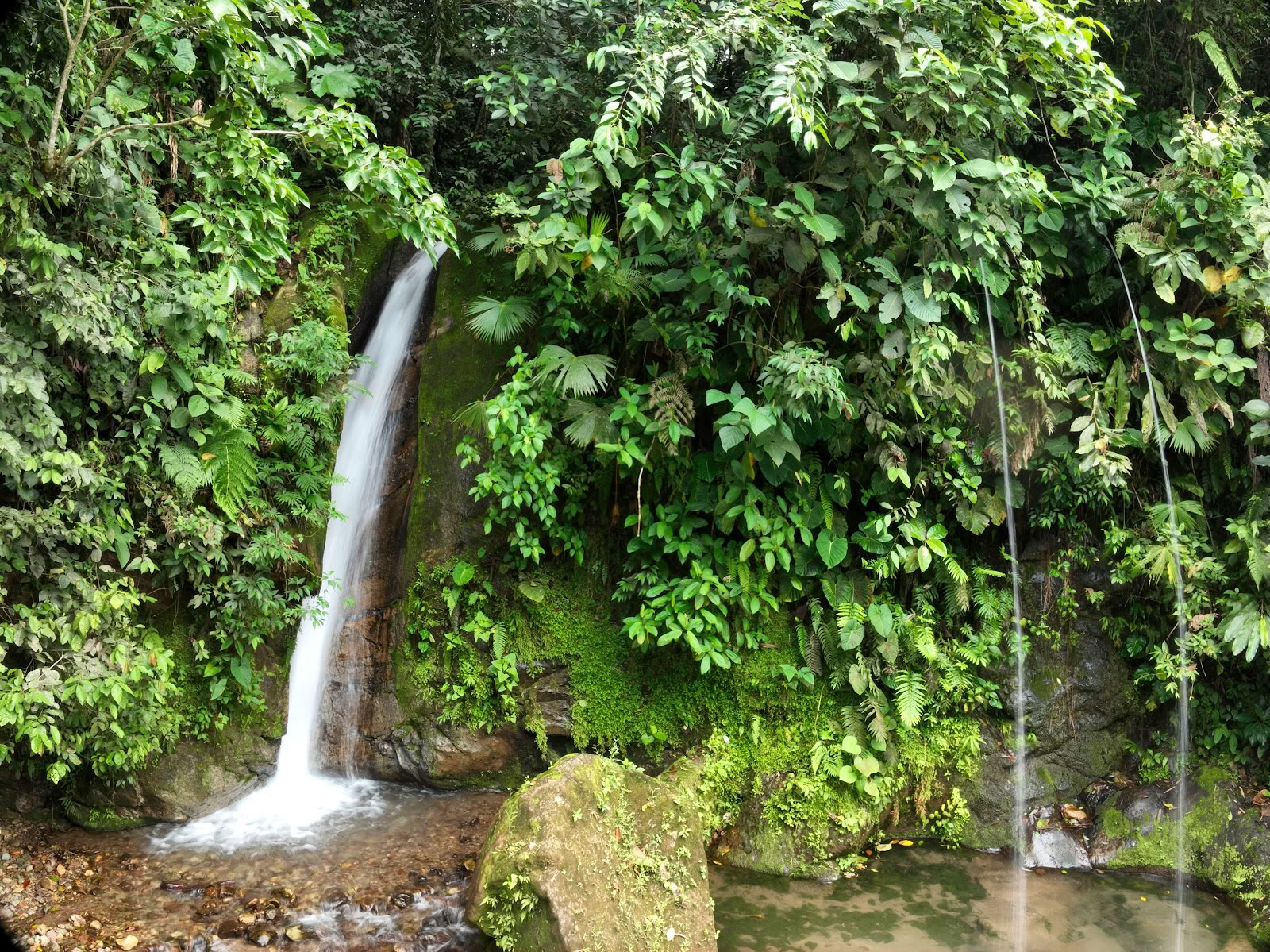 Mahadevi Ayahuasca Retreat Colombia