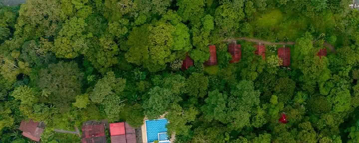 Mahadevi Ayahuasca Retreat Colombia