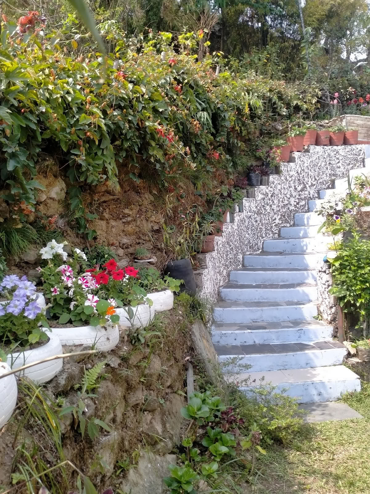 TUSHITA-NEPAL MEDITATION RETREATS