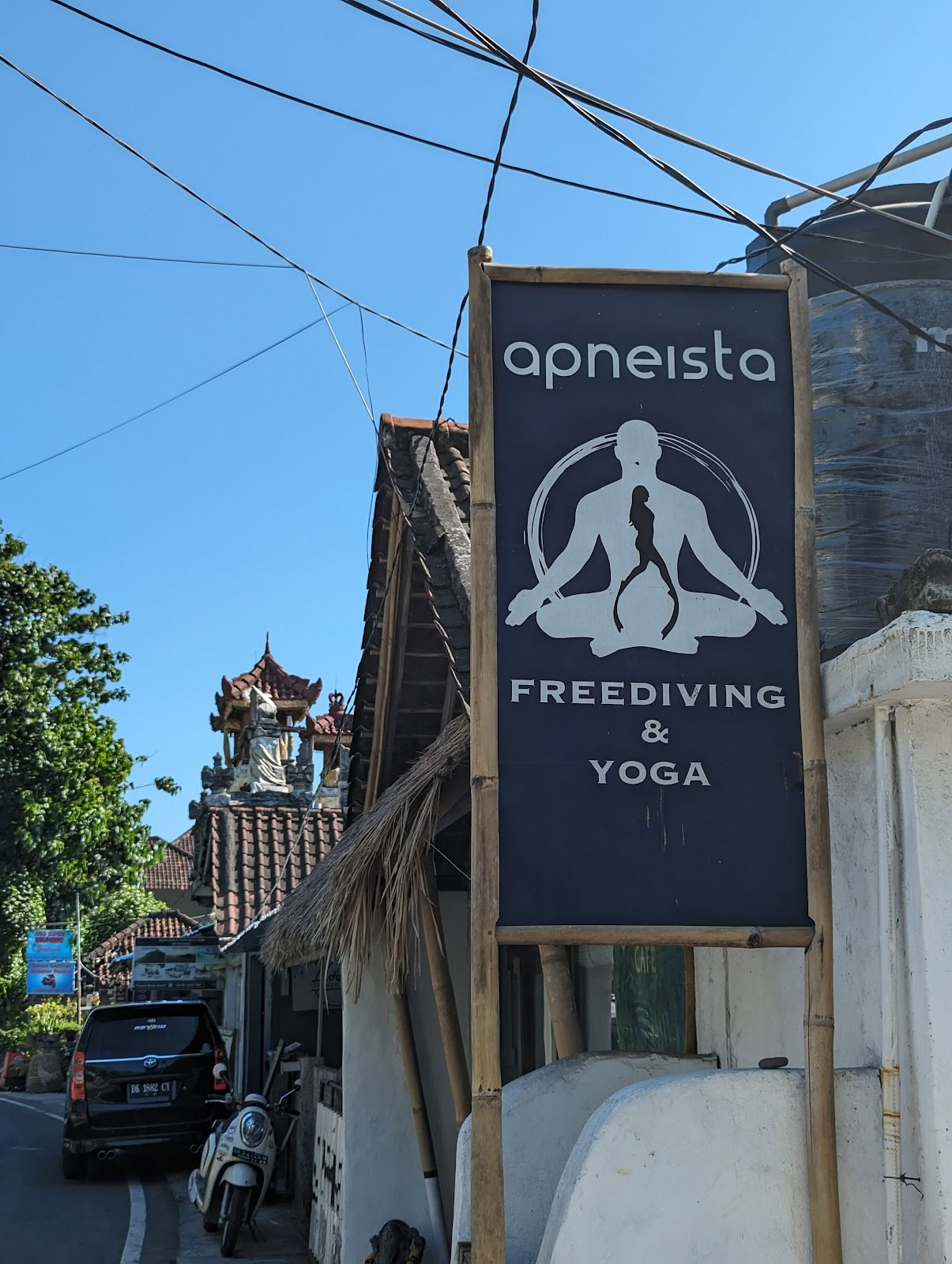 Apneista Freediving and Yoga School