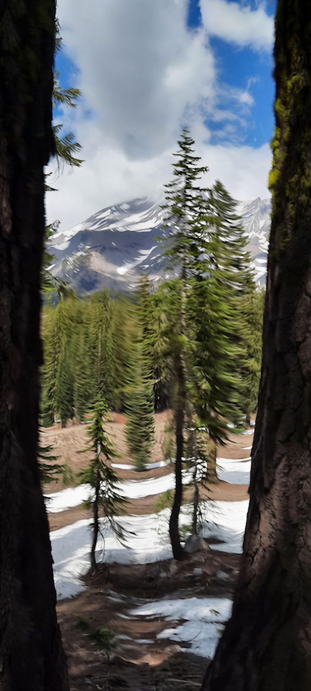 Shasta Vortex Adventures