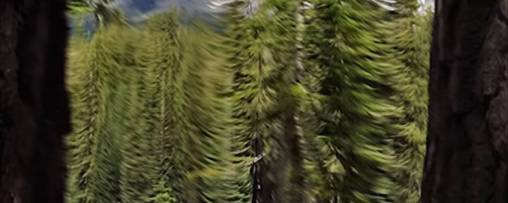 Shasta Vortex Adventures