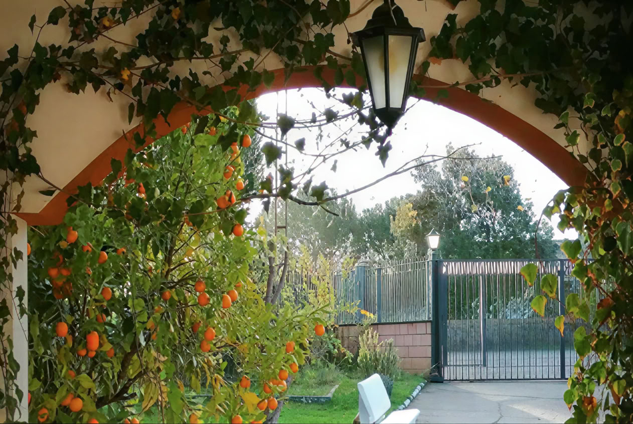 Casa Colibrí (Salud holística)
