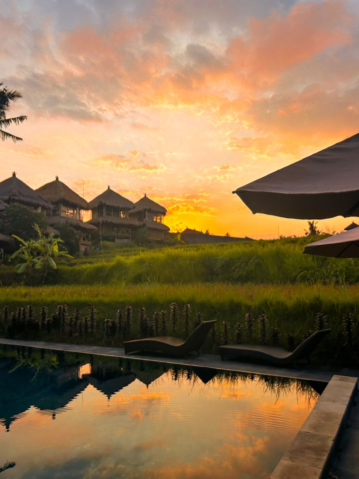 Shades of Yoga - Yoga Teacher Training Bali