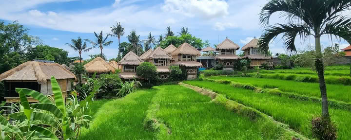 Shades of Yoga - Yoga Teacher Training Bali