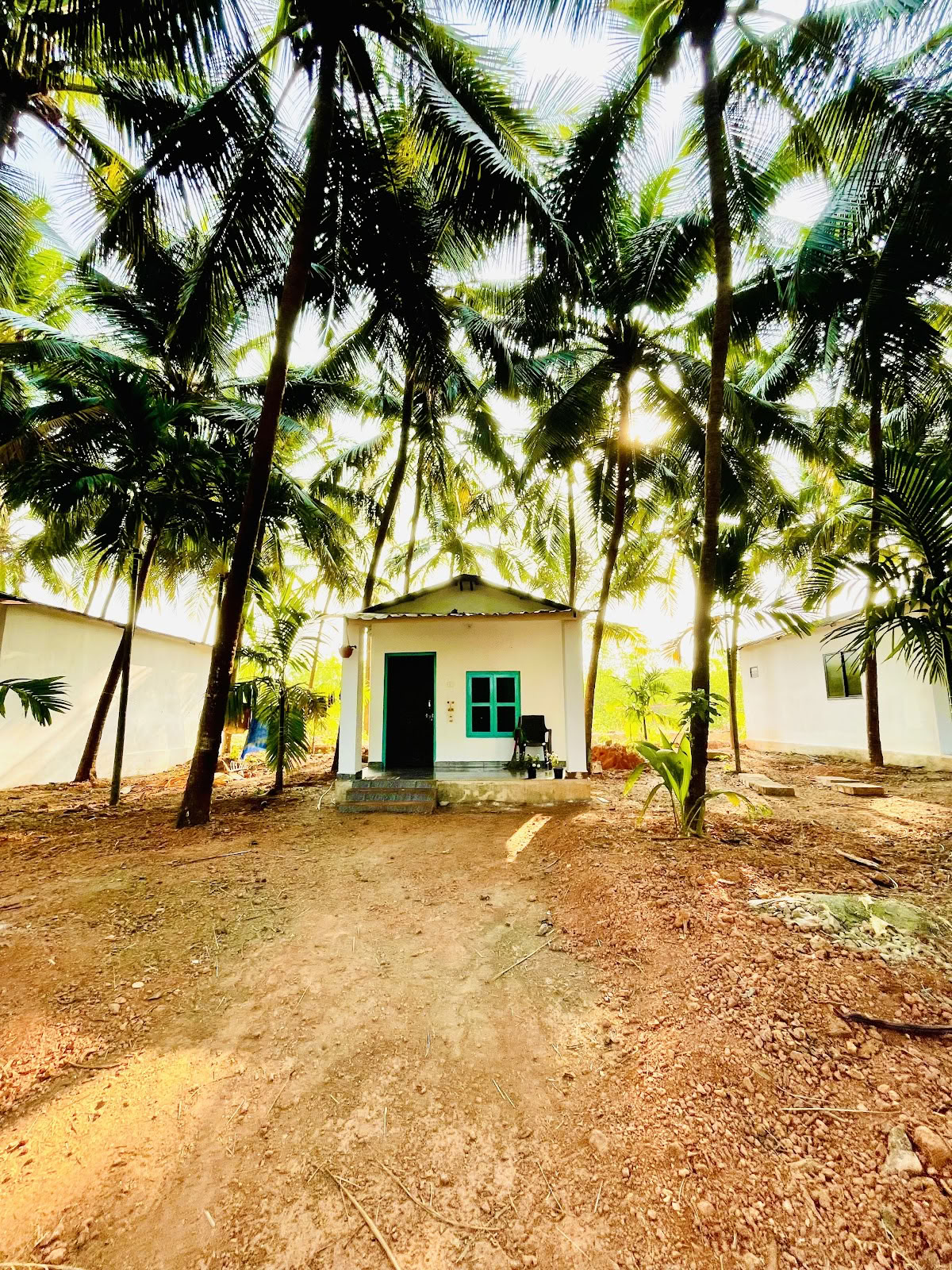 Tapas Yoga India| Best yoga teacher training and Yoga retreat in India