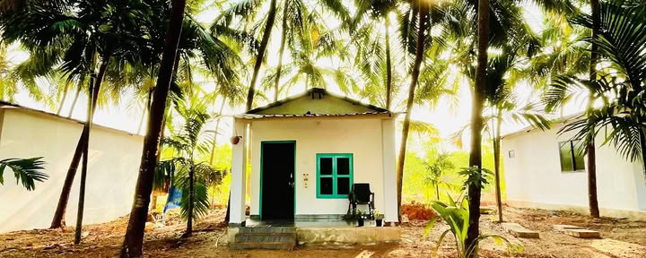 Tapas Yoga India| Best yoga teacher training and Yoga retreat in India