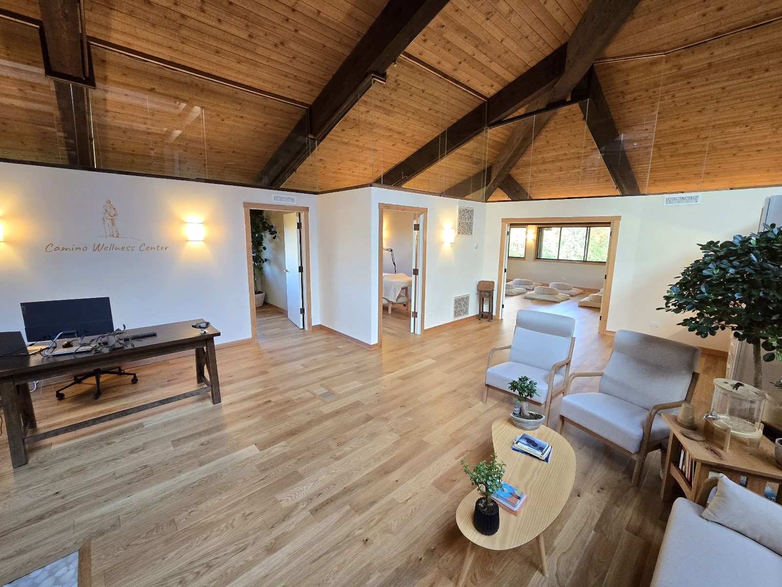 Camino Wellness Center | Acupuncture & Meditation