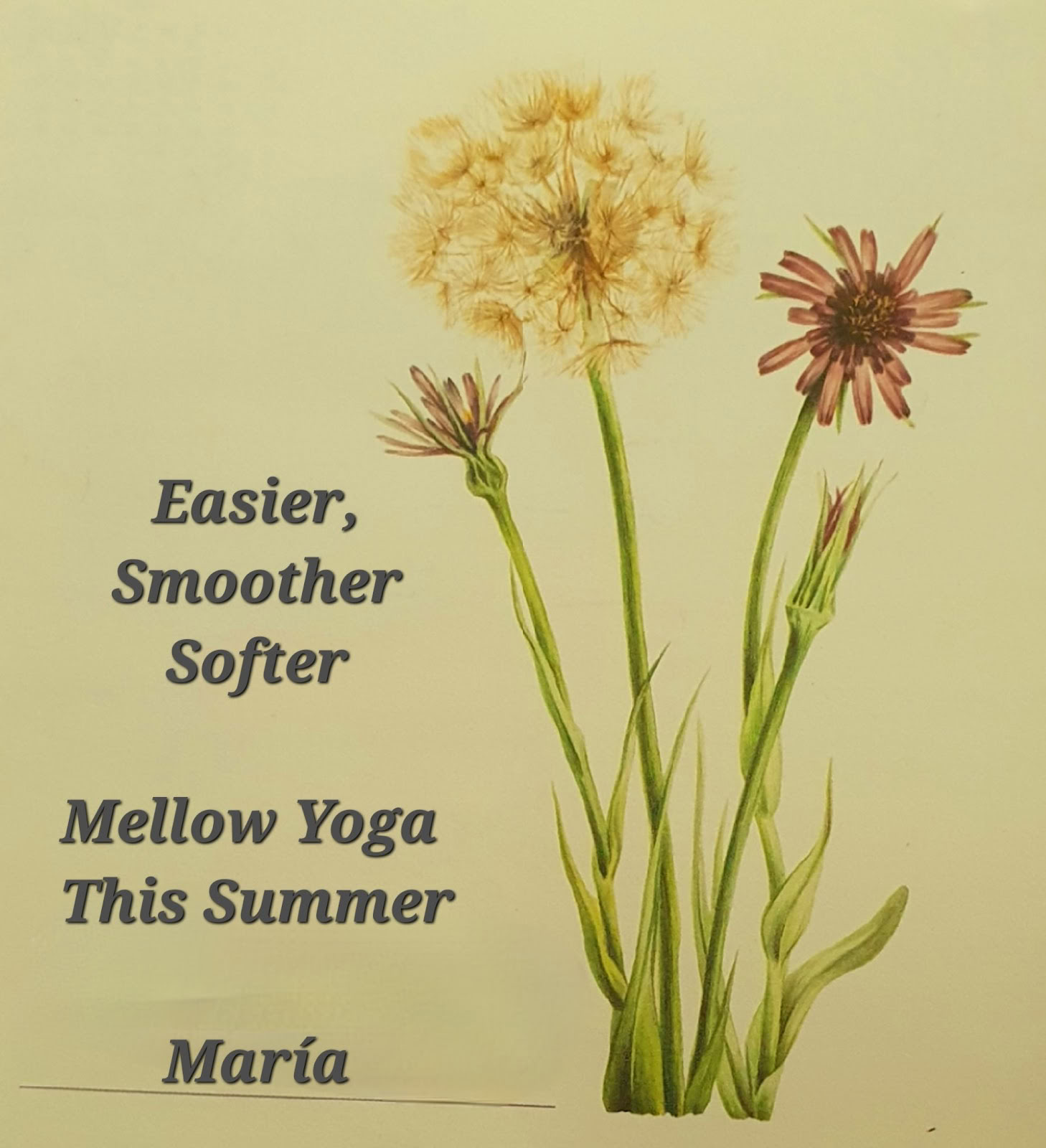 Yoga con María | Sotogrande