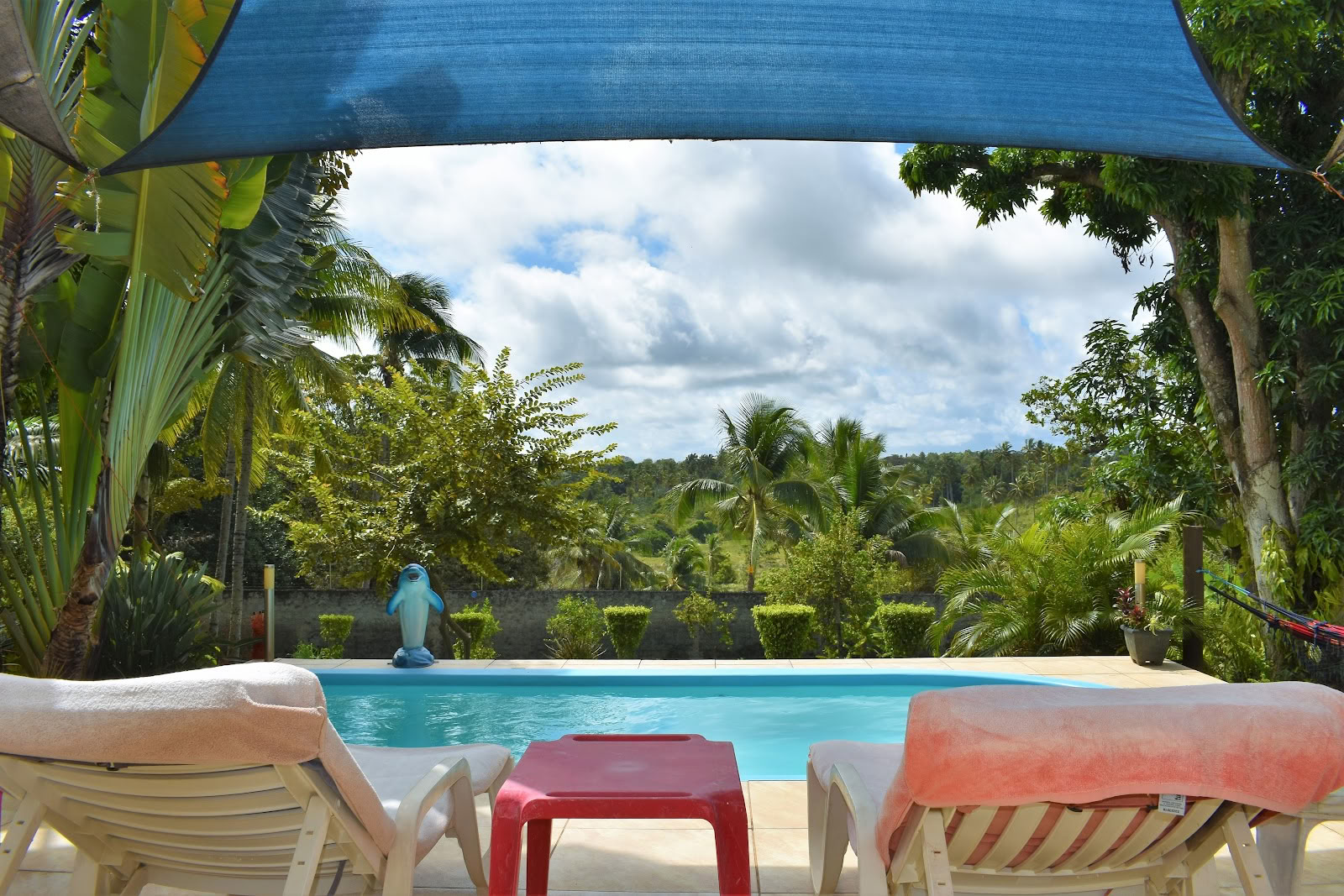 Ayahuasca Retreat Brazil