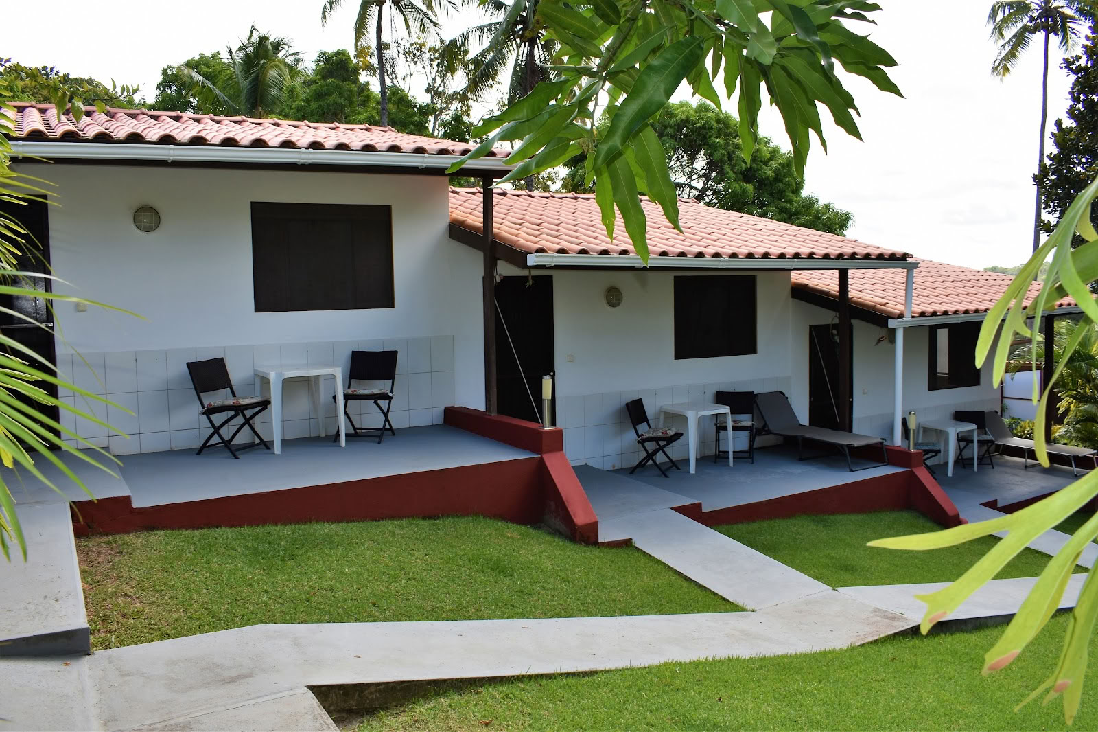 Ayahuasca Retreat Brazil