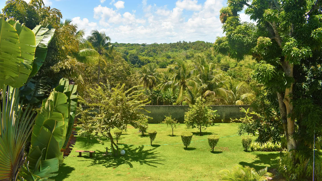Ayahuasca Retreat Brazil
