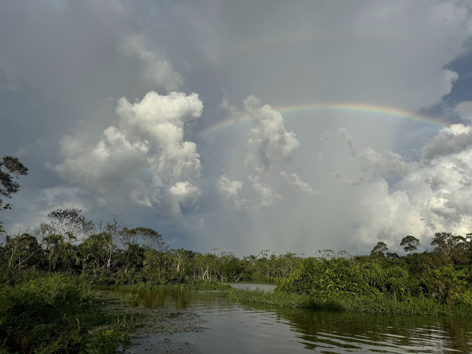 Ayahuasca Eco Tours
