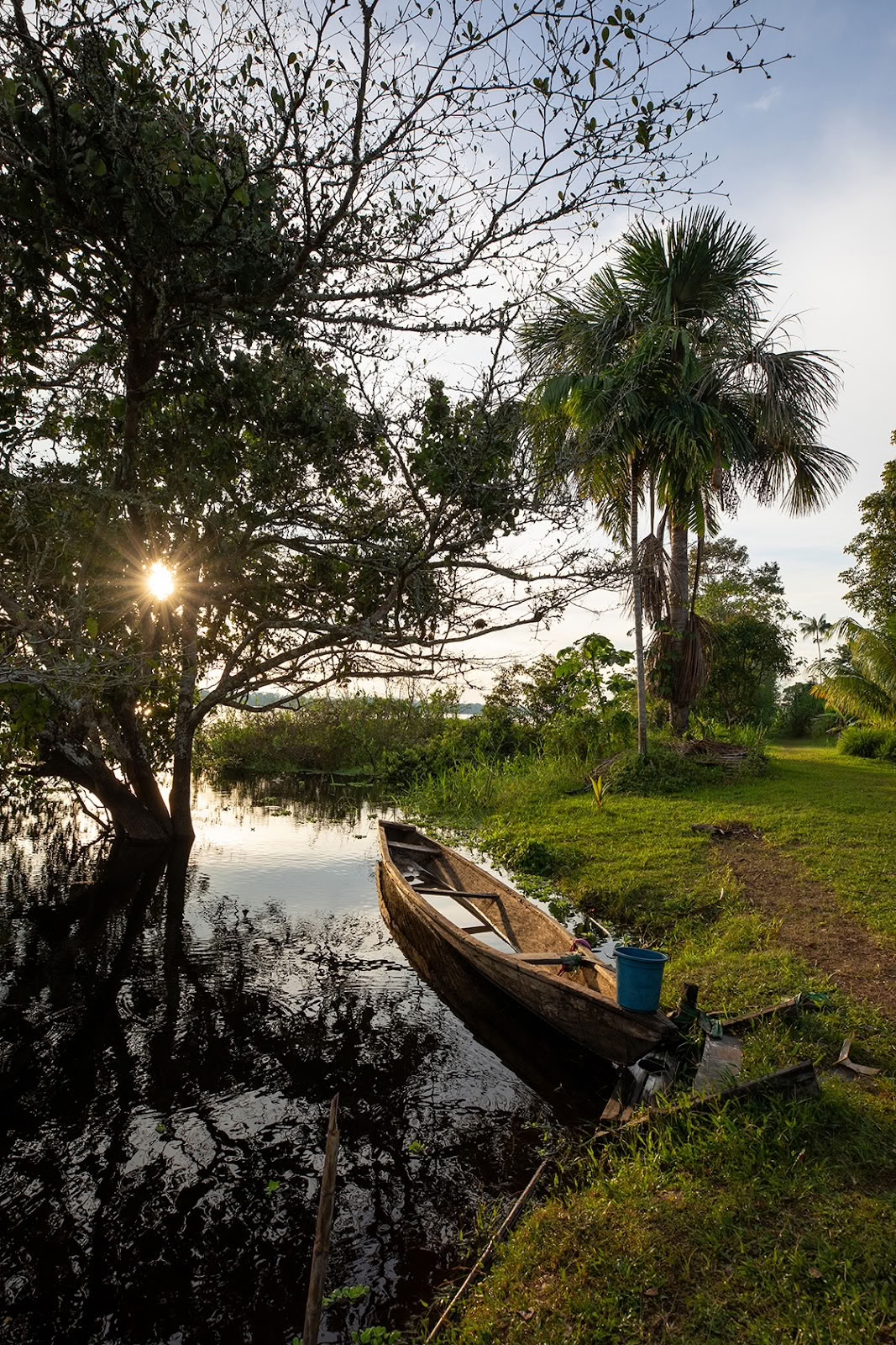 Ayahuasca Eco Tours