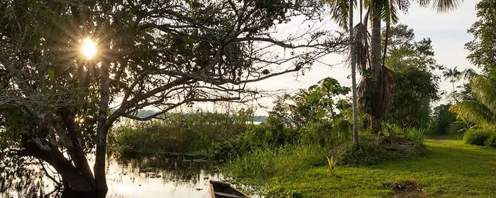 Ayahuasca Eco Tours