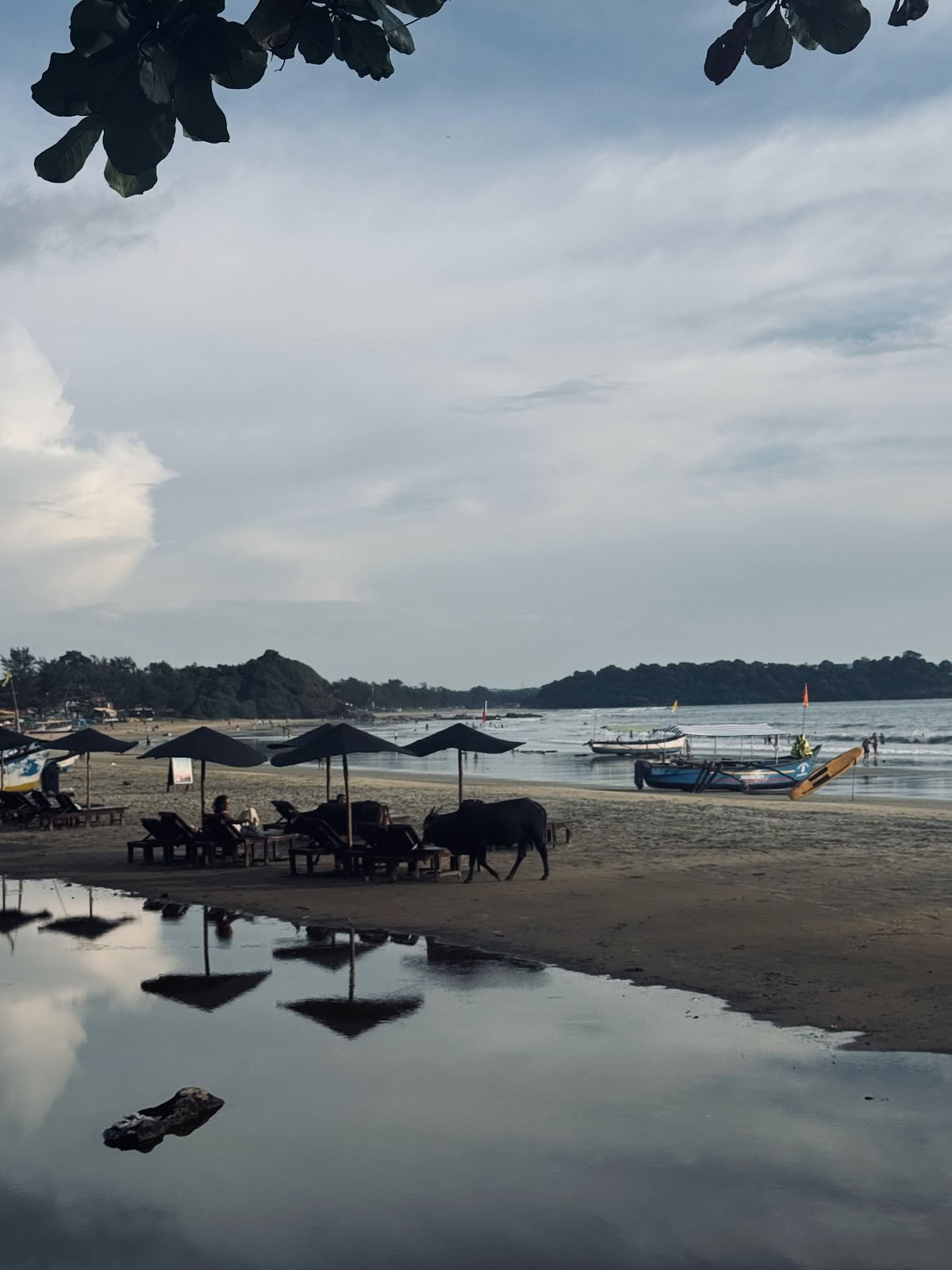 Brothers Ayurveda and Yoga Retreat