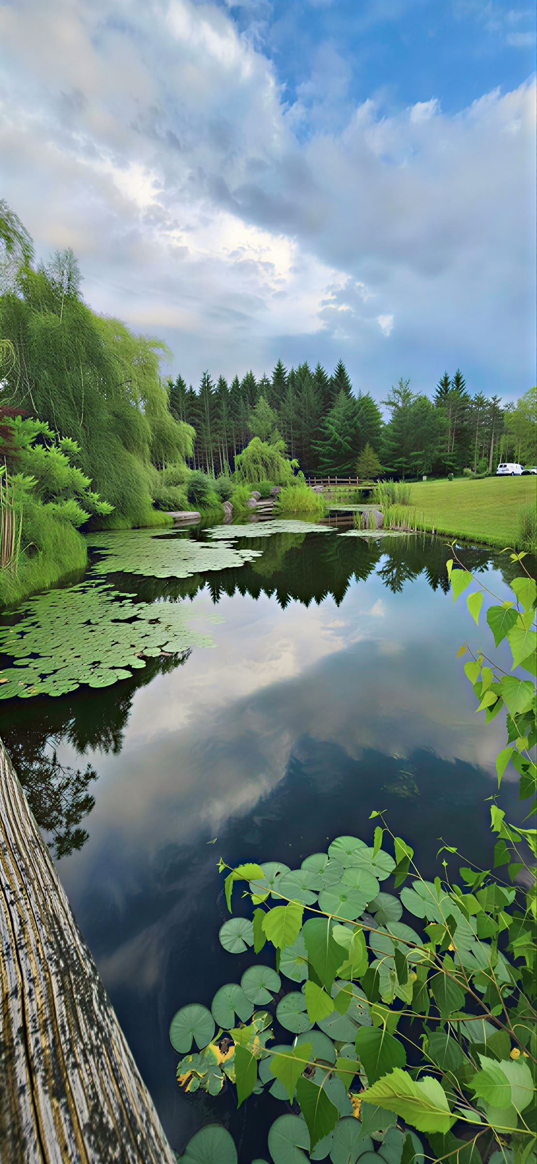 Body Mind Restoration Retreats