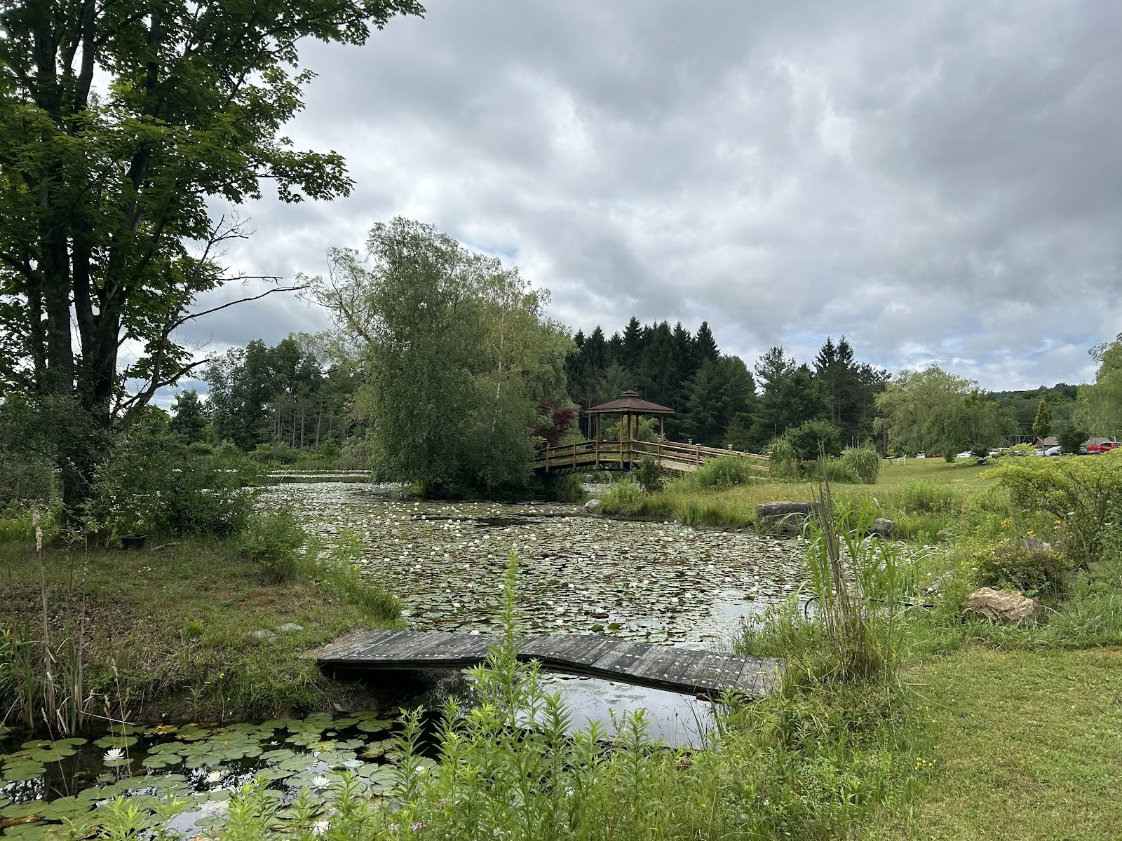 Body Mind Restoration Retreats