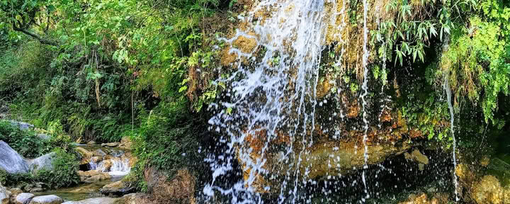 Rishikesh valley Resort