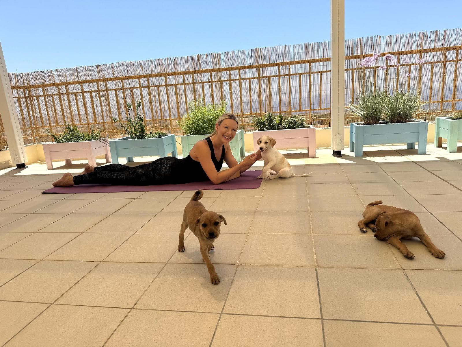 Puppy Yoga Retreat
