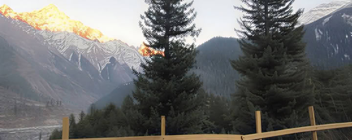 Ameya Himalayan Yogi's