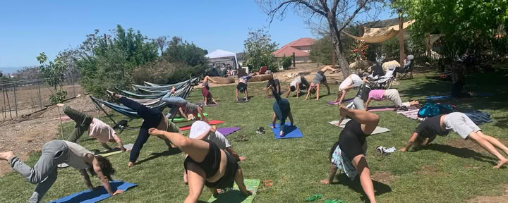 Hummingbird Church Ayahuasca Retreats in United States