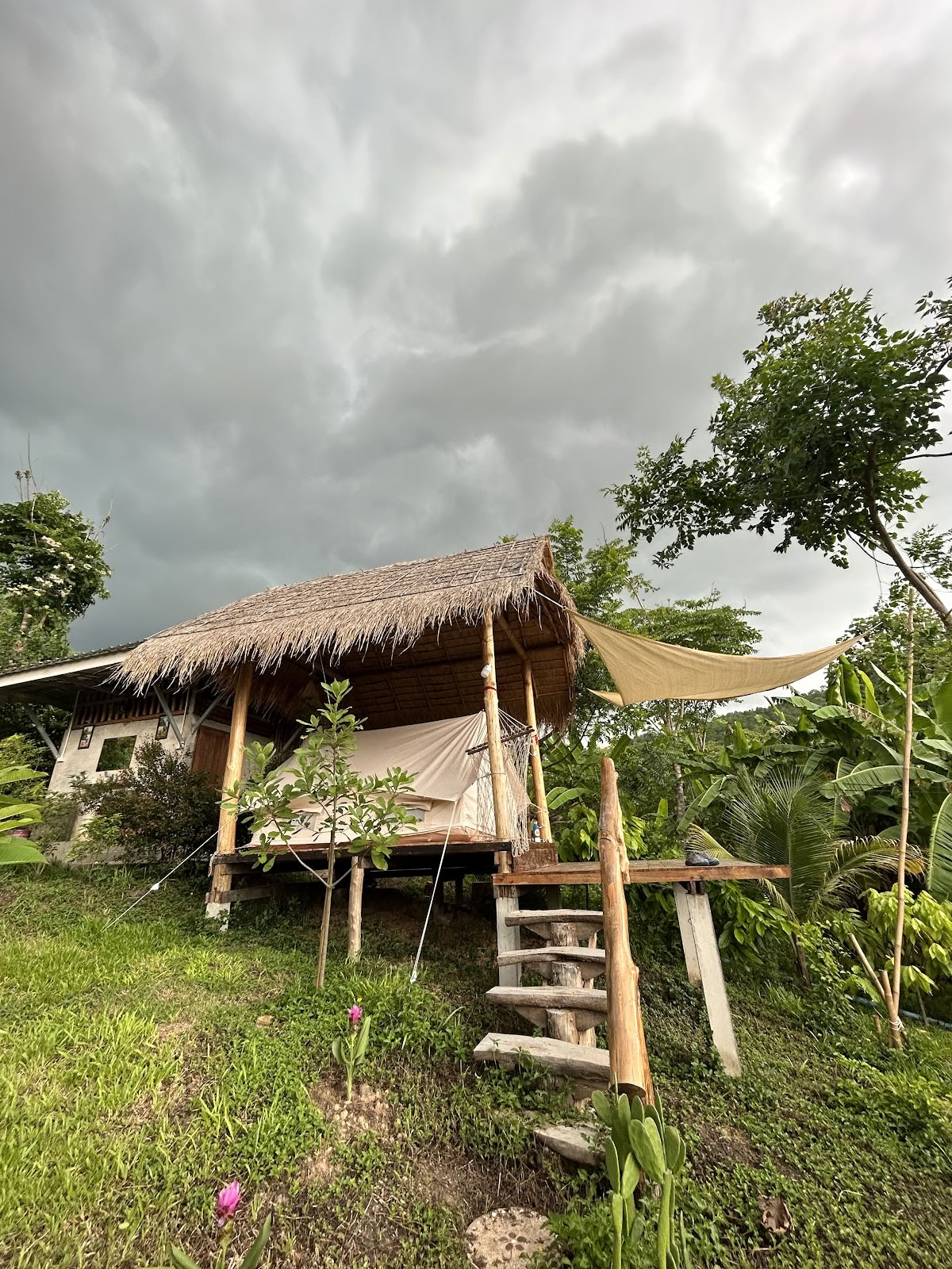 True Nature Chiang Mai - Yoga & Meditation Home Stay Retreat