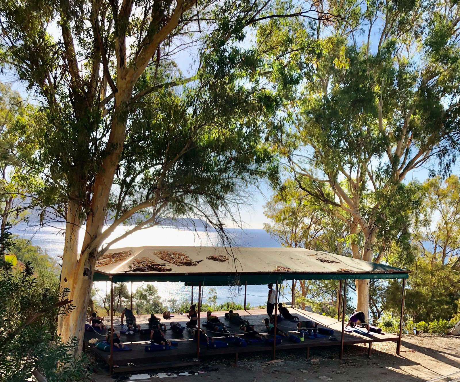 YOAS Yoga Retreats