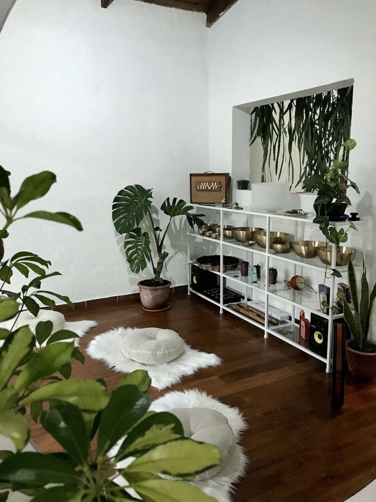 Holistic Bloom - Health & Wellness Center