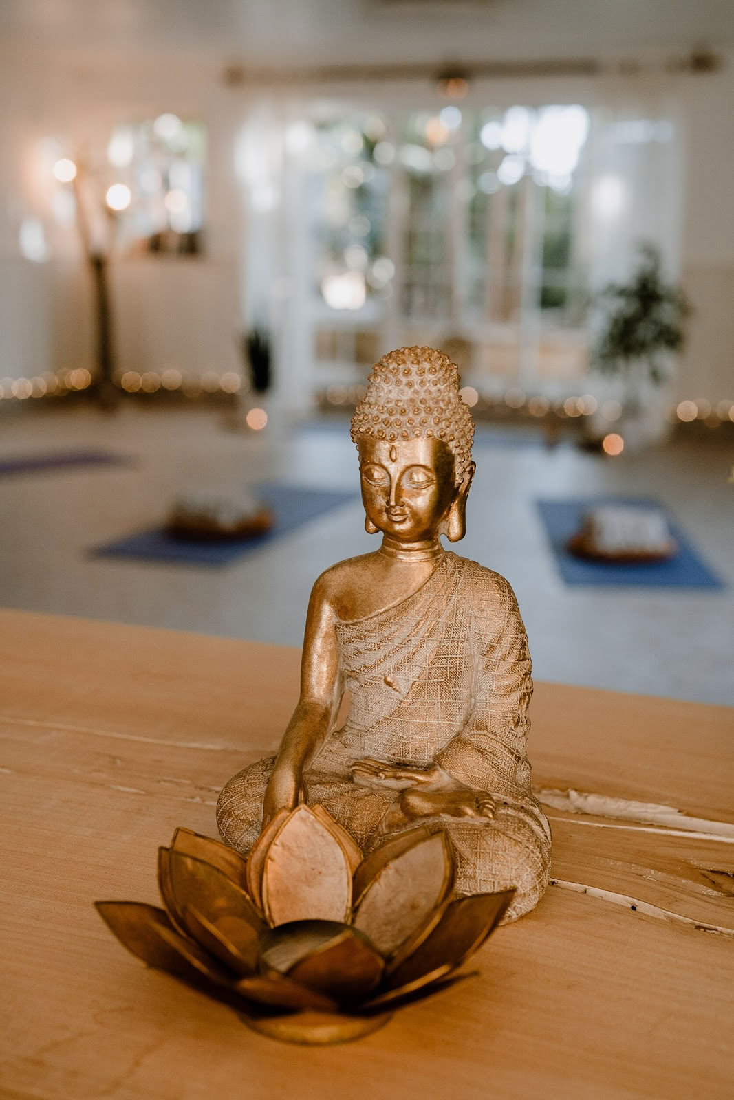 Transform to Bliss Yoga, Event & Wellness Space - Lagos, Algarve