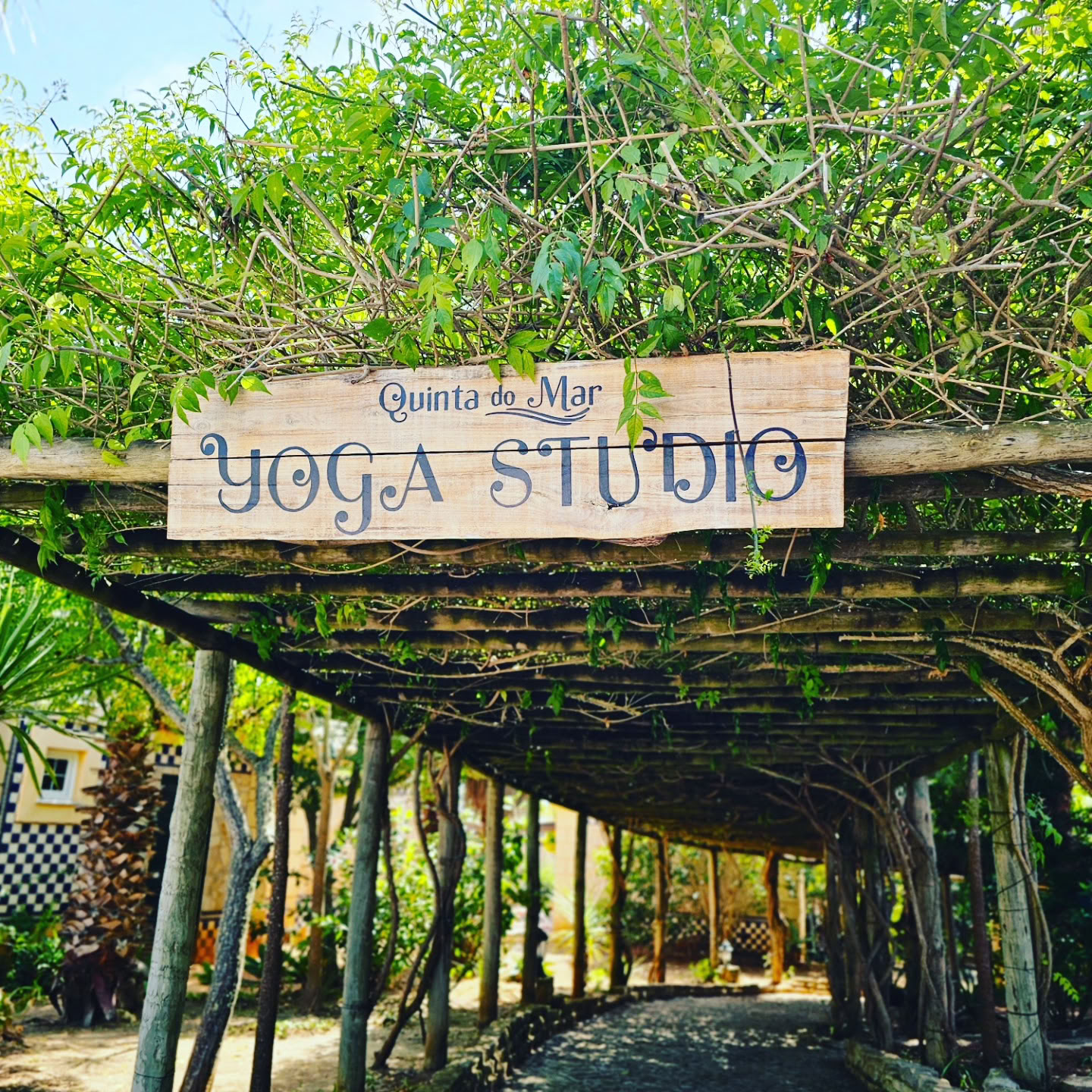Transform to Bliss Yoga, Event & Wellness Space - Lagos, Algarve