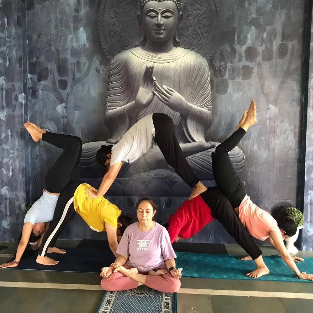 Sunshine yoga /Best Yoga Classes in Amritsar /Yoga Classes in Amritsar /Yoga in Amritsar