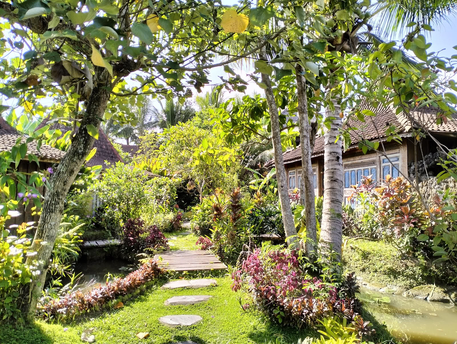 Dragonfly Village