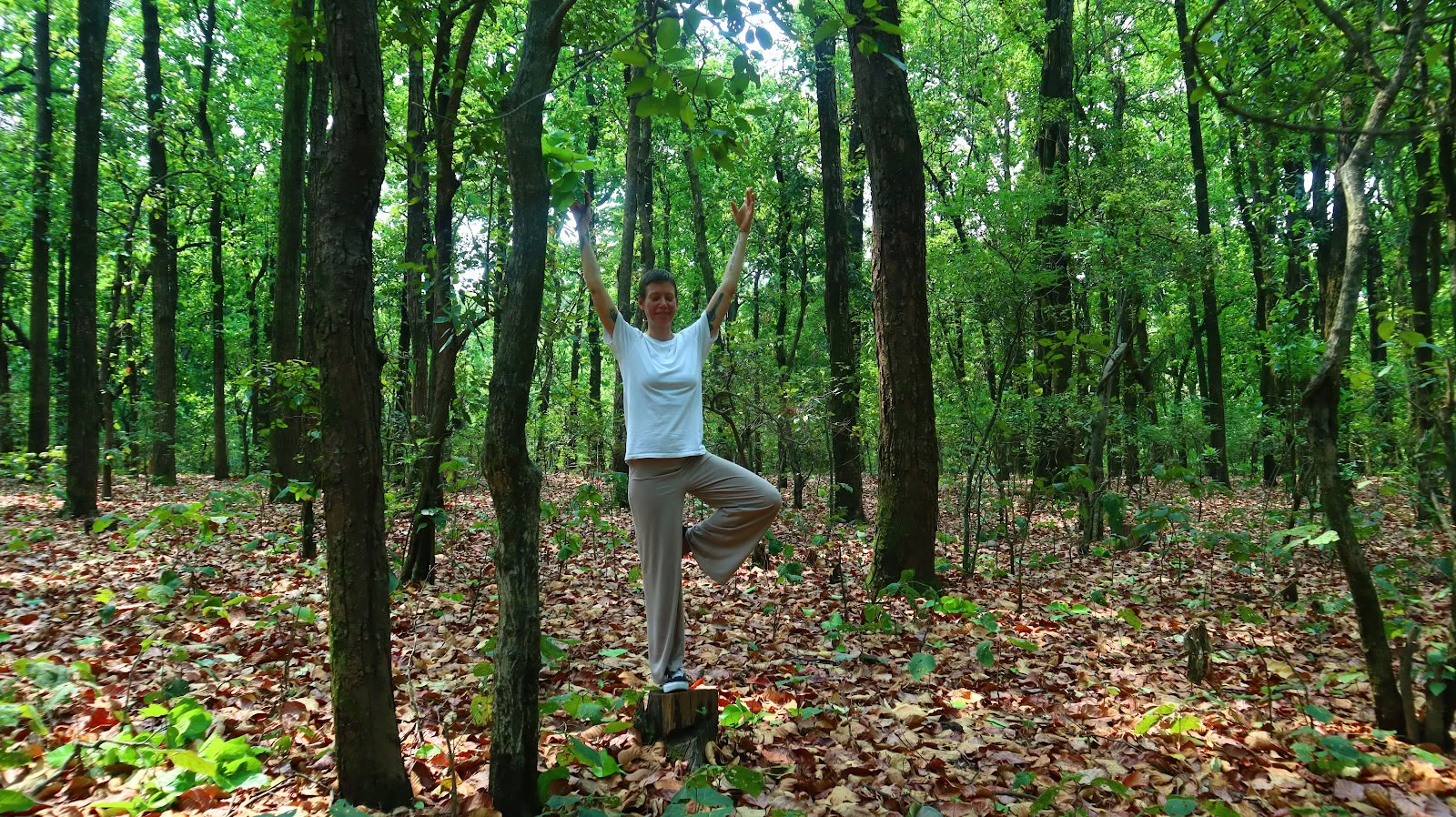 YOGA ESSENCE: Meditation Teacher Training Ashram