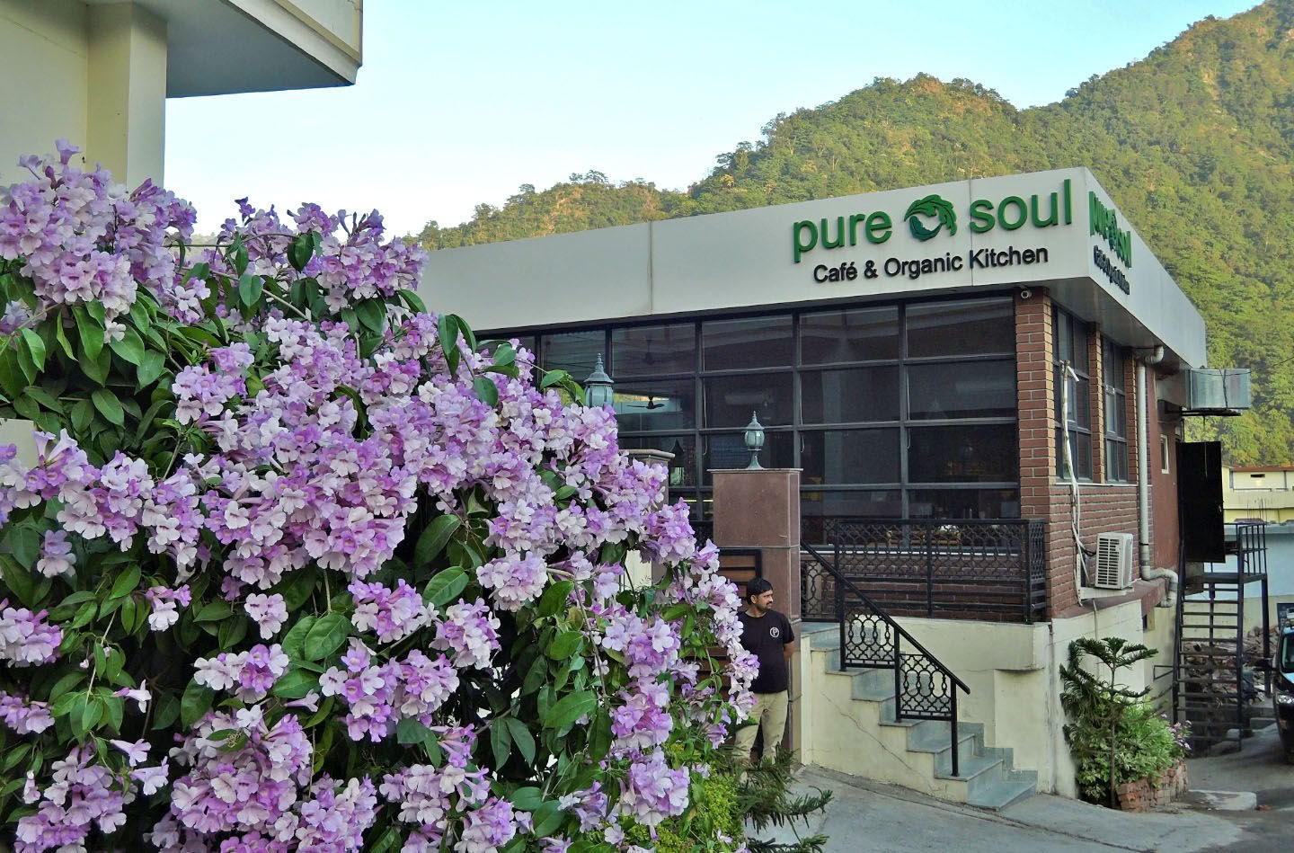 YOGA ESSENCE: Meditation Teacher Training Ashram