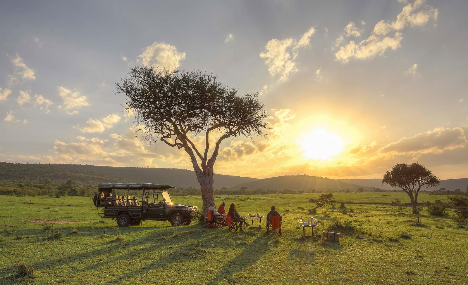 Safari and Yoga