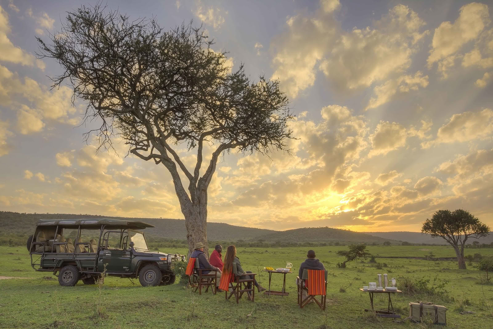 Safari and Yoga