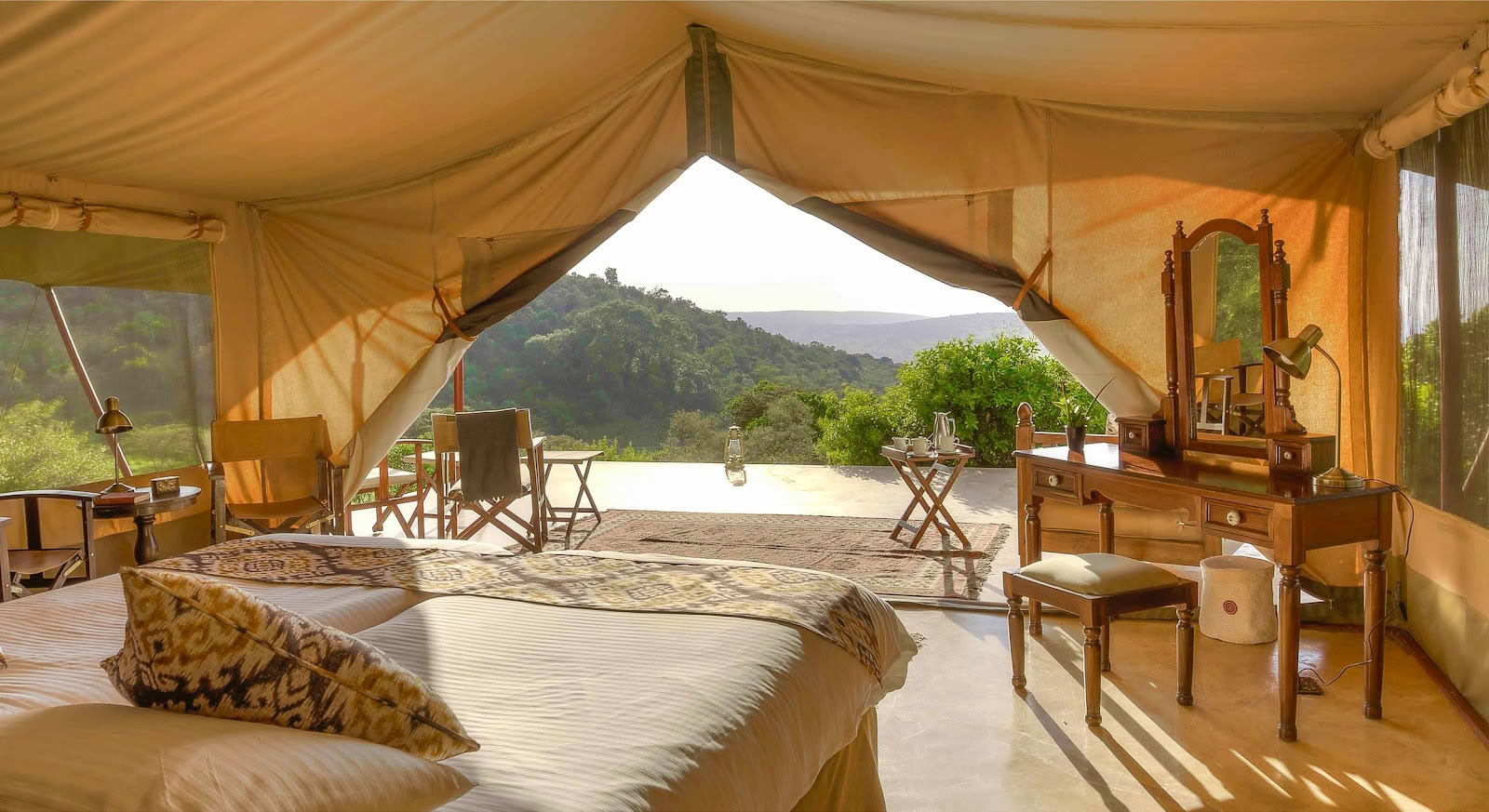 Safari and Yoga