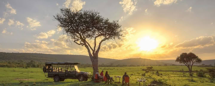 Safari and Yoga