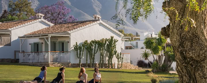 Boho Wellness · Health & Retreats