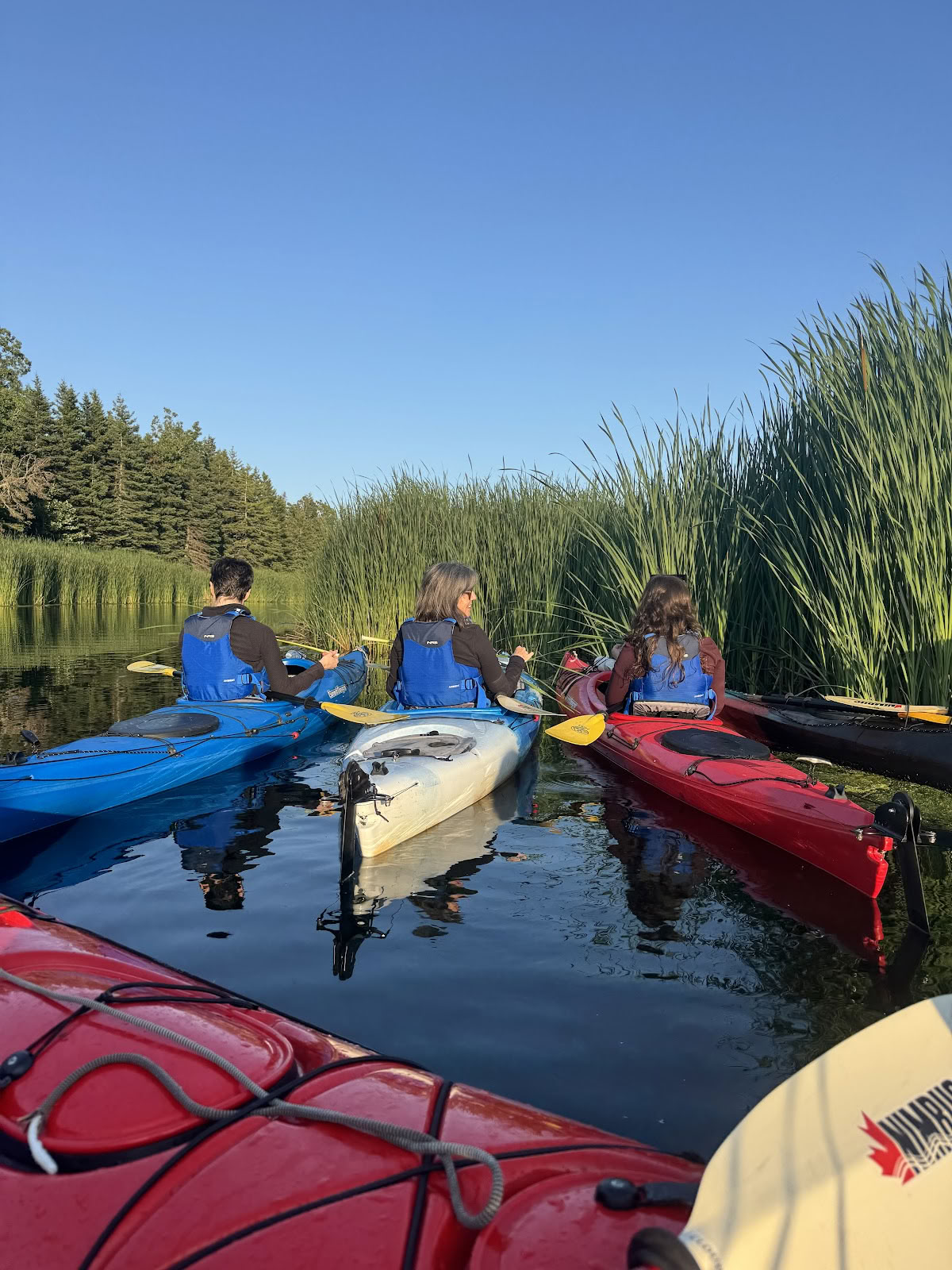 Nature Space Resort & Retreat Centre
