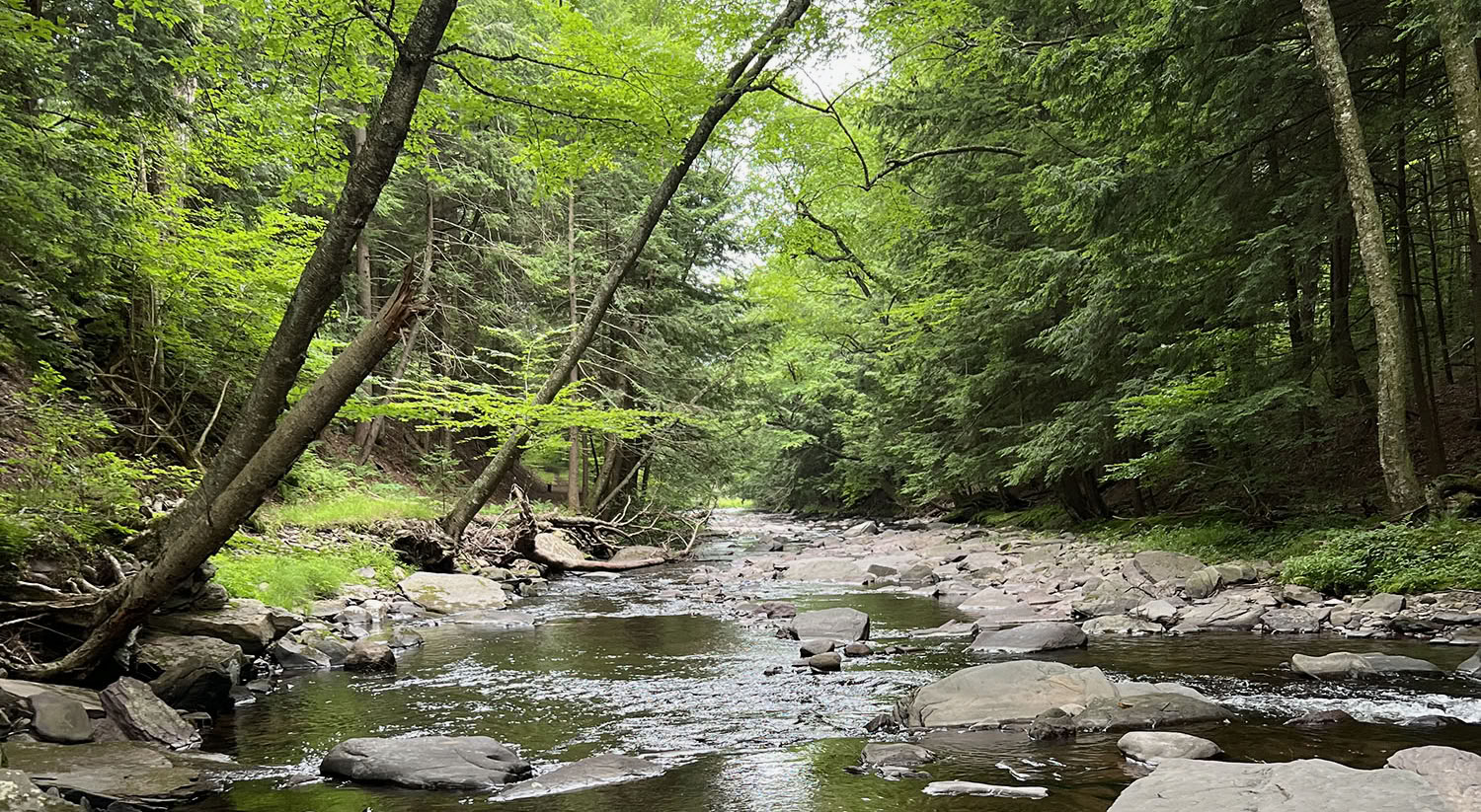 Blue Deer Center Spiritual Retreat In Nature
