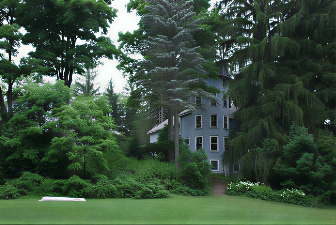 Blue Deer Center Spiritual Retreat In Nature