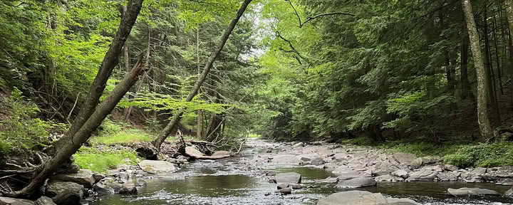 Blue Deer Center Spiritual Retreat In Nature