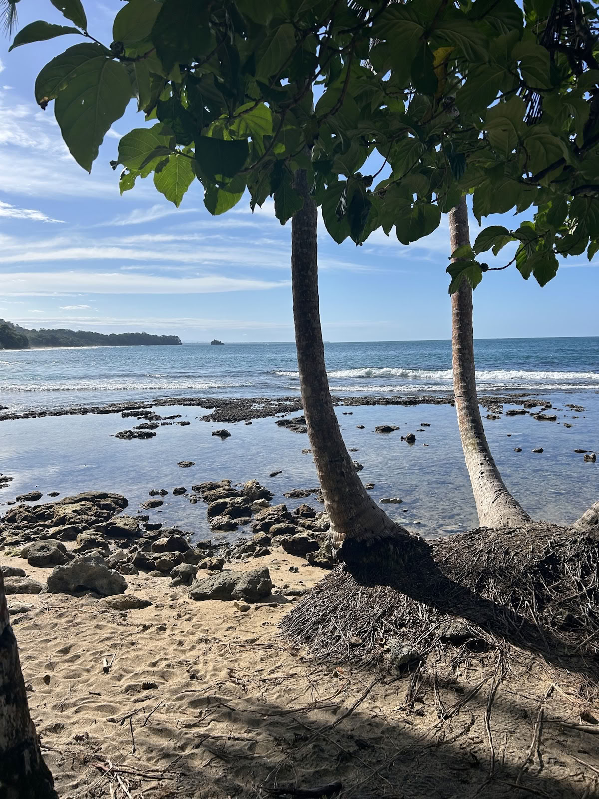 Paradise Wellness Center & Beachfront Apartments
