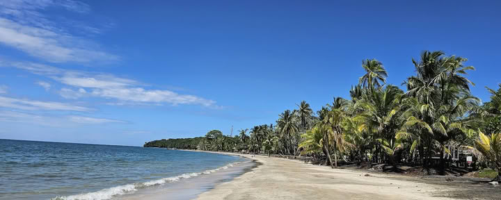 Paradise Wellness Center & Beachfront Apartments