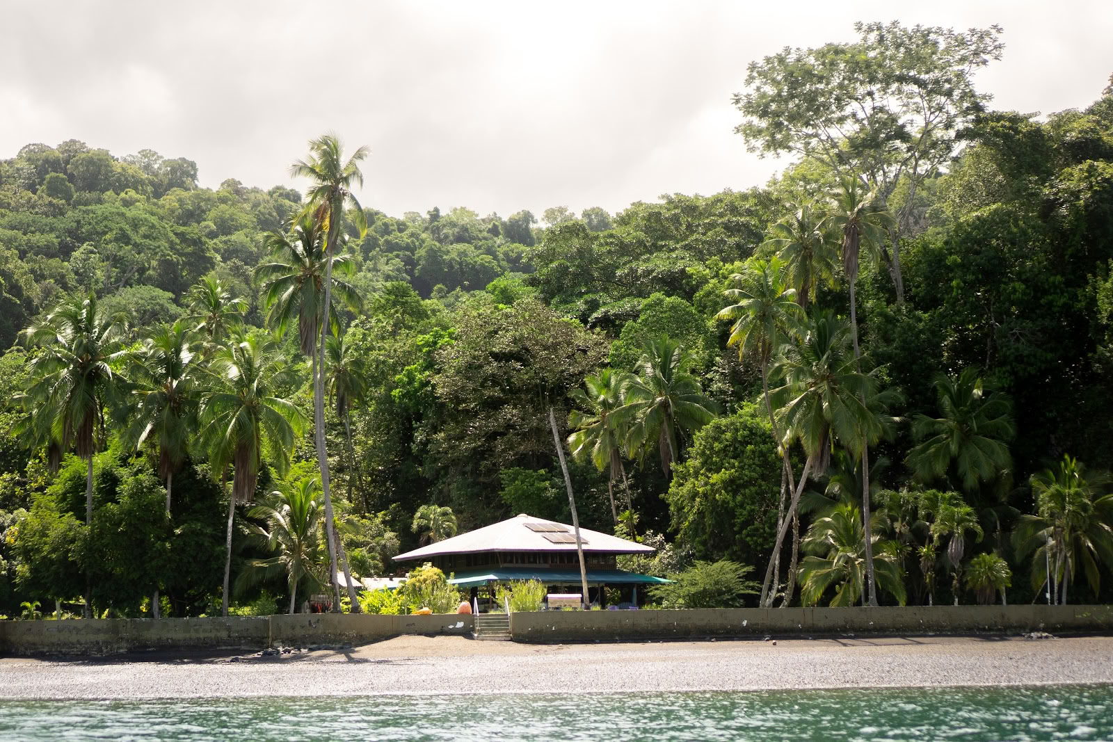 Pandorita Costa Rica - Ayahuasca Workshops