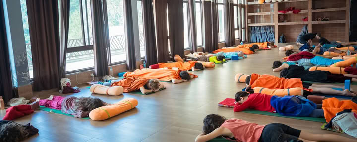 Vinyasa Yoga Academy